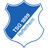 TSG Hoffenheim logo