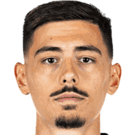 Dennis Hadzikadunic portrait